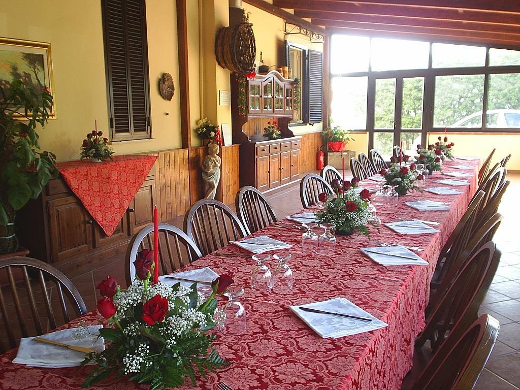 Agriturismo Aurella アシェーア エクステリア 写真